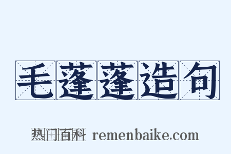 毛蓬蓬造句是什么意思的图片